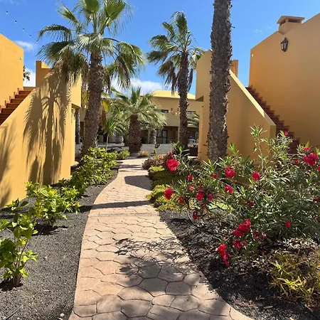 Oasis Papagayo Relax Κοραλέχο