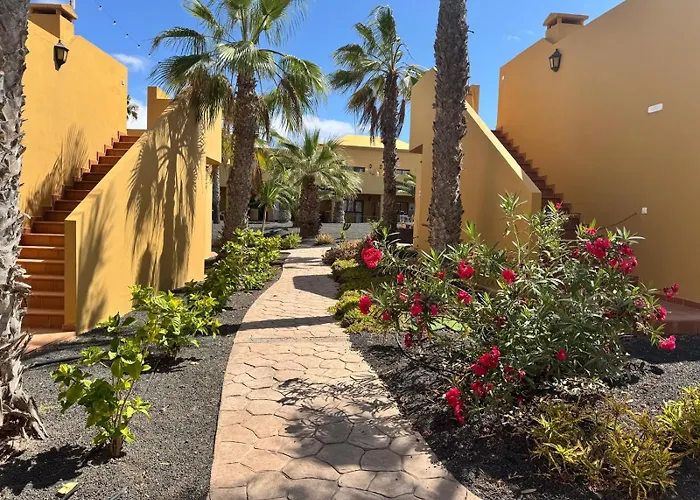 Oasis Papagayo Relax Κοραλέχο